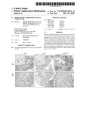 Immunogenic compositions against tuberculosis diagram and image