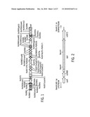 Immunogenic compositions against tuberculosis diagram and image