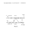 Immunogenic compositions against tuberculosis diagram and image