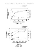 NOVEL FILTER COMPOSITES FOR DRUG DETOXIFICATION diagram and image