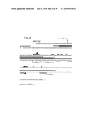 RNA INTERFERENCE MEDIATING SMALL RNA MOLECULES diagram and image