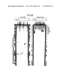 RNA INTERFERENCE MEDIATING SMALL RNA MOLECULES diagram and image