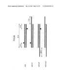 RNA INTERFERENCE MEDIATING SMALL RNA MOLECULES diagram and image