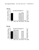 RNA INTERFERENCE MEDIATING SMALL RNA MOLECULES diagram and image