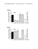 RNA INTERFERENCE MEDIATING SMALL RNA MOLECULES diagram and image