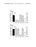 RNA INTERFERENCE MEDIATING SMALL RNA MOLECULES diagram and image