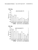 RNA INTERFERENCE MEDIATING SMALL RNA MOLECULES diagram and image