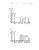 RNA INTERFERENCE MEDIATING SMALL RNA MOLECULES diagram and image