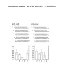 RNA INTERFERENCE MEDIATING SMALL RNA MOLECULES diagram and image