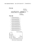 RNA INTERFERENCE MEDIATING SMALL RNA MOLECULES diagram and image