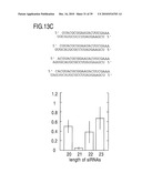 RNA INTERFERENCE MEDIATING SMALL RNA MOLECULES diagram and image