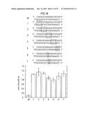 RNA INTERFERENCE MEDIATING SMALL RNA MOLECULES diagram and image