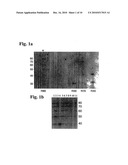 SPINOCEREBELLAR ATAXIA TYPE 8 AND METHODS OF DETECTION diagram and image