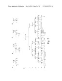 SPINOCEREBELLAR ATAXIA TYPE 8 AND METHODS OF DETECTION diagram and image