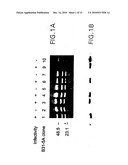 VMP-Like Sequences Of Pathogenic Borrelia diagram and image