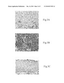 Nasopharyngeal cancer malingancy biomarker and method thereof diagram and image