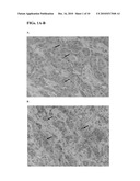 METHODS AND KITS FOR DIAGNOSING CANCER diagram and image