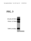 METHODS AND KITS FOR DIAGNOSING CANCER diagram and image