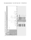 MASS SPECTROMETRY ASSAY FOR eIF4E AND eIF4E REGULON ACTIVITY diagram and image