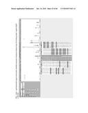 MASS SPECTROMETRY ASSAY FOR eIF4E AND eIF4E REGULON ACTIVITY diagram and image