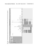 MASS SPECTROMETRY ASSAY FOR eIF4E AND eIF4E REGULON ACTIVITY diagram and image