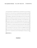 BETA-GLUCOSIDASE VARIANT ENZYMES AND RELATED POLYNUCLEOTIDES diagram and image