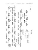 OPTIMIZED STRAINS OF YARROWIA LIPOLYTICA FOR HIGH EICOSAPENTAENOIC ACID PRODUCTION diagram and image