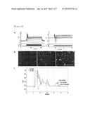 EFFICIENT GENERATION OF NEURAL PROGENITORS, NEURONS, AND DOPAMINERGIC NEURONS FROM HUMAN EMBRYONIC STEM CELLS diagram and image