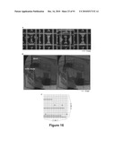 Printed Assemblies of Ultrathin, Microscale Inorganic Light Emitting Diodes for Deformable and Semitransparent Displays diagram and image