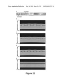 Printed Assemblies of Ultrathin, Microscale Inorganic Light Emitting Diodes for Deformable and Semitransparent Displays diagram and image