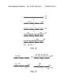 TECHNIQUE AND APPARATUS FOR DEPOSITING LAYERS OF SEMICONDUCTORS FOR SOLAR CELL AND MODULE FABRICATION diagram and image