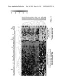 GLOBAL GERM LINE AND TUMOR MICROSATELLITE PATTERNS ARE CANCER BIOMARKERS diagram and image