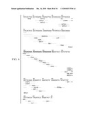 GLOBAL GERM LINE AND TUMOR MICROSATELLITE PATTERNS ARE CANCER BIOMARKERS diagram and image