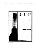 Methods For Detecting Biomarkers diagram and image