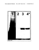 Methods For Detecting Biomarkers diagram and image