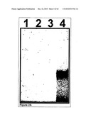 Methods For Detecting Biomarkers diagram and image