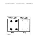 Methods For Detecting Biomarkers diagram and image