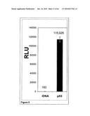 Methods For Detecting Biomarkers diagram and image