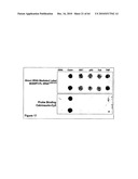 Methods For Detecting Biomarkers diagram and image