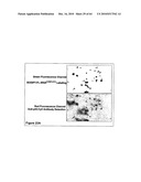 Methods For Detecting Biomarkers diagram and image