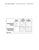 Methods For Detecting Biomarkers diagram and image