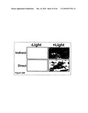 Methods For Detecting Biomarkers diagram and image