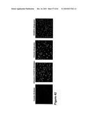 Methods For Detecting Biomarkers diagram and image