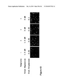 Methods For Detecting Biomarkers diagram and image