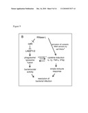 Methods of Treating a Microbial Infection by Modulating RNase-L Expression and/or Activity diagram and image