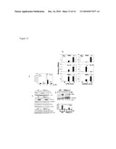 Methods of Treating a Microbial Infection by Modulating RNase-L Expression and/or Activity diagram and image