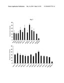 Nucleolin Specific Aptamer and Use thereof diagram and image