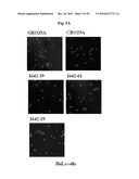 Nucleolin Specific Aptamer and Use thereof diagram and image