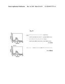 Nucleolin Specific Aptamer and Use thereof diagram and image