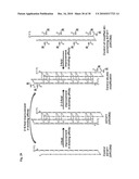 Nucleolin Specific Aptamer and Use thereof diagram and image